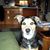 Gail Gearst Standage's profile image