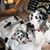 Colleen Suzanne Perry's profile image