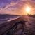 Christina Bonfanti Schinner's profile image
