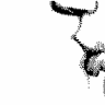 Geo W.'s profile image