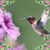 Debbi Shetina Stubler's profile image