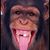 Christopher Seward's profile image
