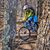 Damir Andric's profile image