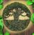 Mark Lewis III's profile image