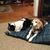 Mary Whitlock's profile image