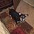 Susie Soutter's profile image
