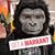 Jay Castaldi's profile image