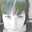 Sandy Gasher's profile image
