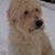 Jennifer Anne Fike's profile image