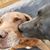 Fawn Stinchcomb's profile image