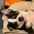 Joanne Lunceford's profile image