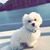 Sheryl Walker Graves's profile image