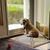 Sandy Fronce's profile image