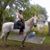 Rosemary Foster Hutchings's profile image