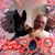 Stephen Robinson's profile image