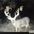 Richard Brandon Bryant's profile image
