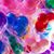 Lorrie Graham Bell's profile image