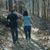 Amanda Collins's profile image