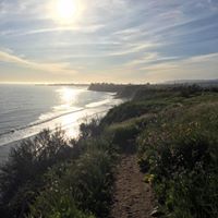 Kachina Alexander Heil's profile image