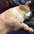 Chris Cantrelle's profile image