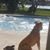 Jennifer Kaz's profile image