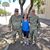 Nancy Bowser Parsons's profile image