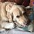 Nan Barry Cicala's profile image