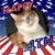 Candy Schloesser Retter's profile image