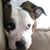 Hilary Vilem's profile image