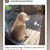 Linda Brenneman Nielsen's profile image