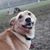 Amanda Gregory's profile image