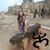 Joanne M. Ruiz-Norman's profile image