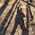 Marla Melchiore Polites's profile image