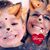 Sheri Mahr's profile image