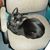 Lynn Strahm's profile image