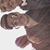 Sebastian Castellanos's profile image