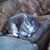 Lisa Smith-Burham's profile image
