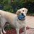 Jane Luhr's profile image