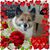 Deborah Lee Hurst's profile image