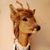 William Bozeman's profile image