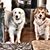 Nancy Perpich's profile image