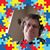 Kellie Ellis Riggott's profile image
