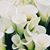 Charlene Keady's profile image