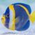 Pipi Daf's profile image