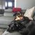 Darrin Penrod's profile image