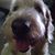 Judy Flitter's profile image
