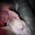 Debi Foster Bickerstaff's profile image