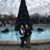 Debbie DeGarmo's profile image