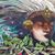 Tania Llambelis's profile image