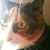 Mary Tamburelli's profile image
